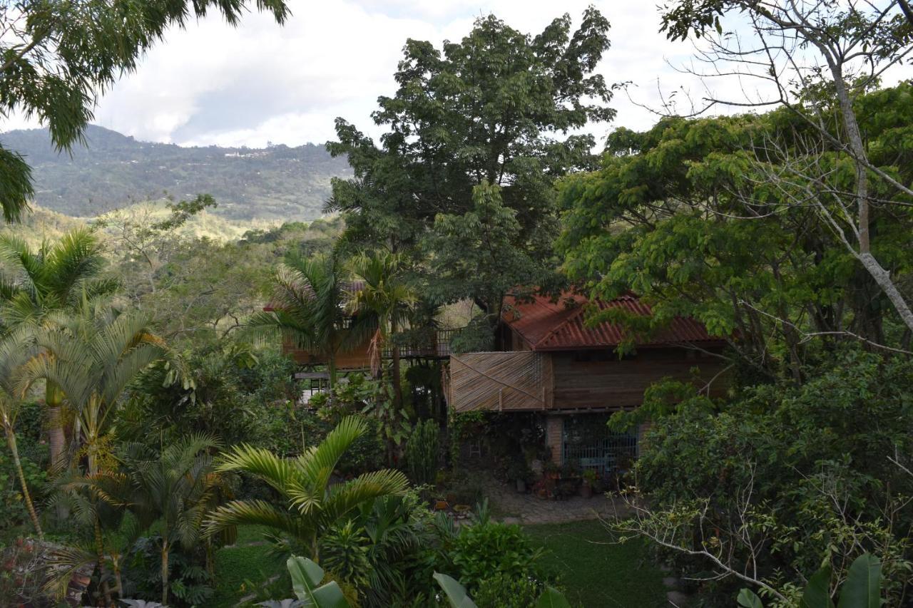 Chalets HUITACA Choachí Buitenkant foto